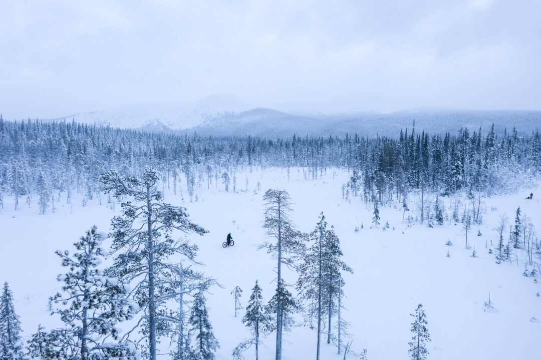 Fat bike rider in a snowy Finnish forest with cross-country tracks and distant hills