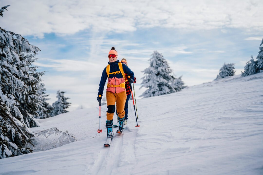 Ski tourer trekking across snowy Swedish mountain slopes with poles, winter backcountry scenery and pine trees