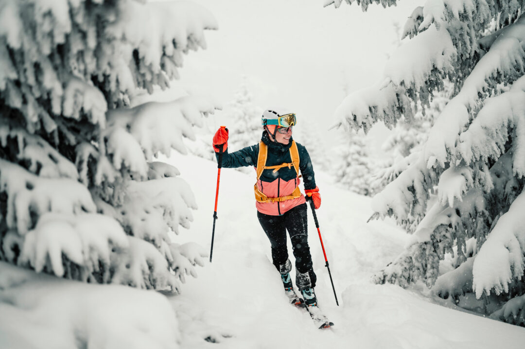 Ski tourer in Sweden gliding through deep fresh snow between snow-covered pine trees with ski poles