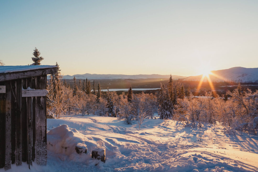Snowy Swedish ski touring landscape at sunrise, pine forest and rolling hills with ski tracks in view