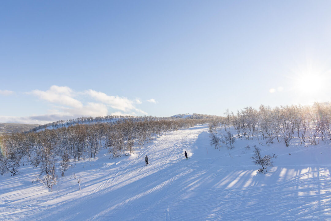 Snowy Sweden ski slope with beginner skiers descending through pine forests in winter sunshine