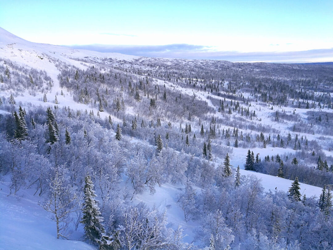 Snowy forest valley in Sweden with ski pistes stretching across the mountains in clear winter light