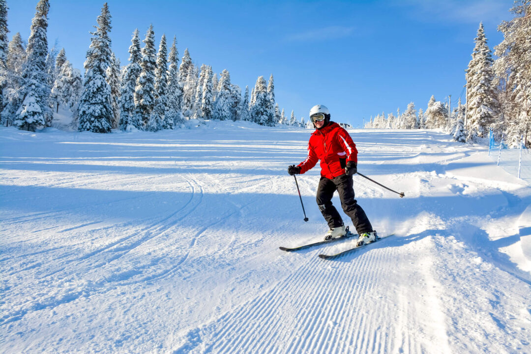 Beginner skier in red jacket downhill skiing on a snow track through a Swedish pine forest in winter sunlight
