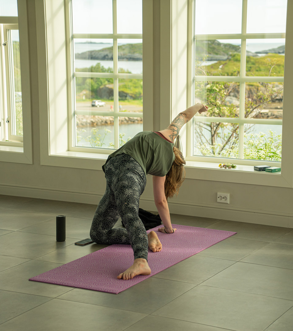 Woman doing yoga plank on a purple exercise mat indoors by large window overlooking green landscape