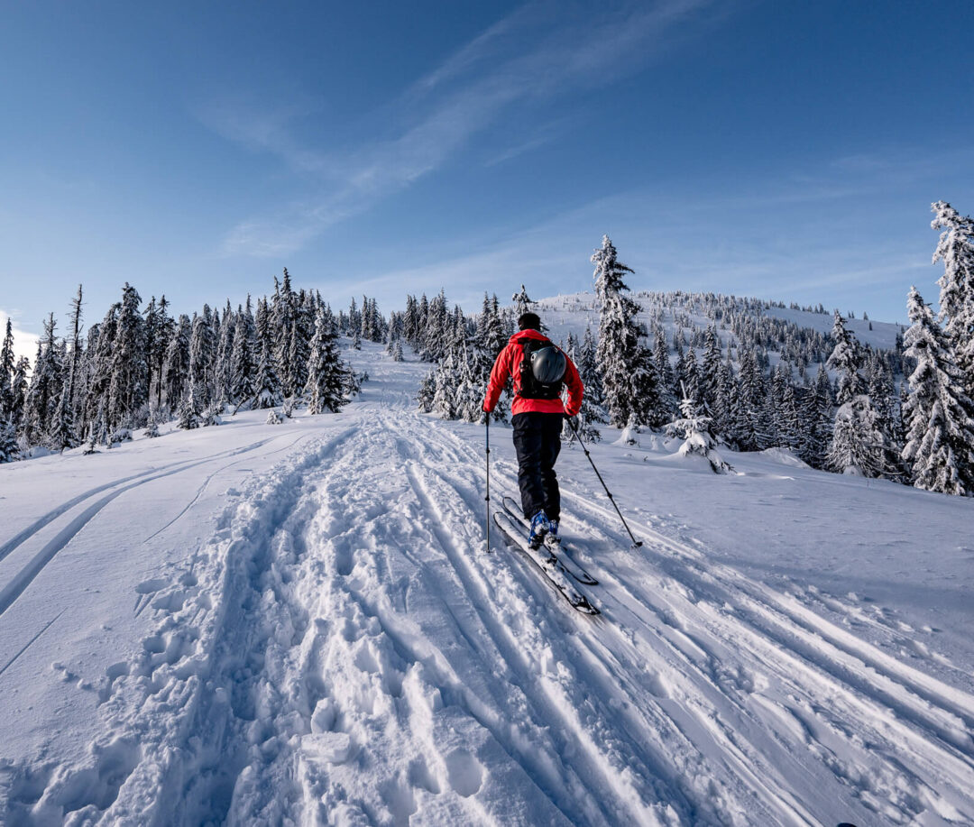 Ski tourer in a red jacket skiing through snowy forest trails in Sweden