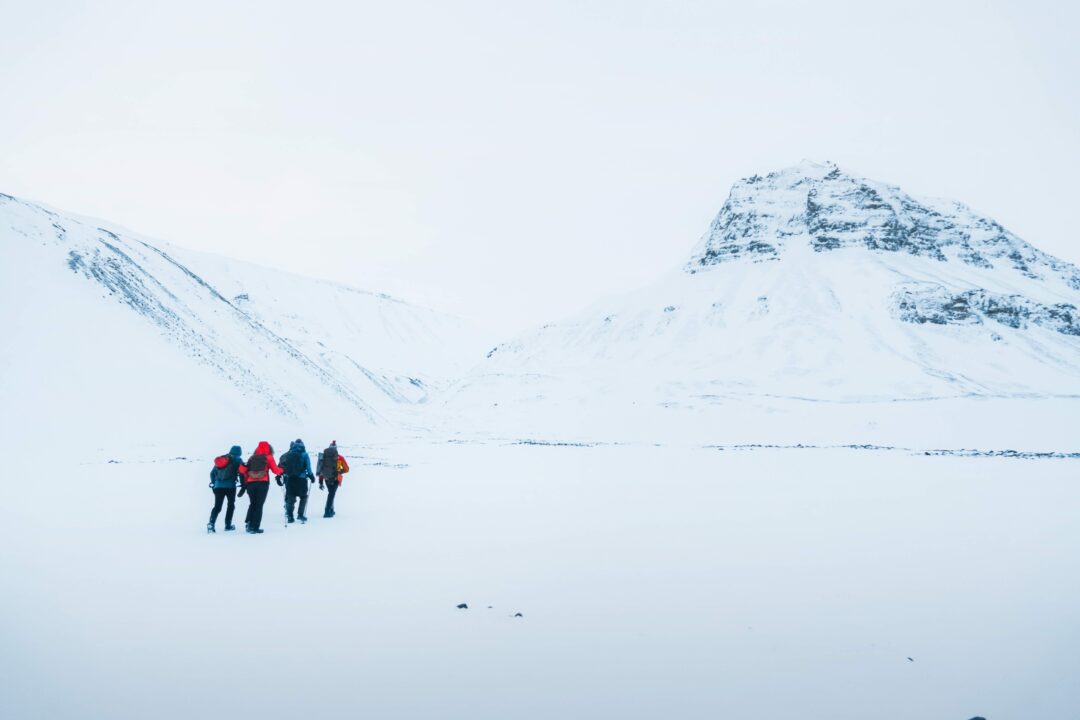 Snowmobile riders trekking across snowy Svalbard landscape with mountains and icy fjord in the distance