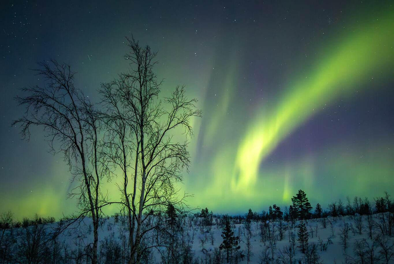 Northern lights over a snowy Lapland forest during a backcountry ski hut-to-hut expedition at night