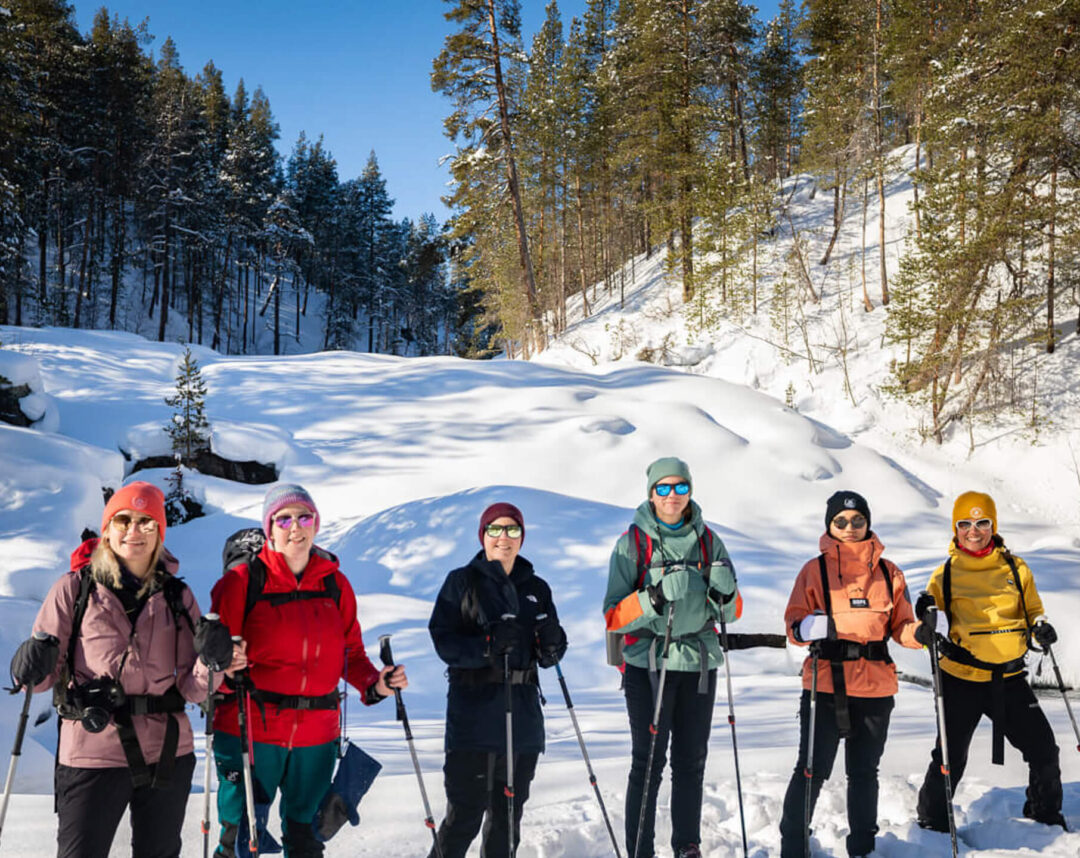 Group of skiers on a hut-to-hut backcountry ski expedition in Lapland, trekking through a snowy pine forest