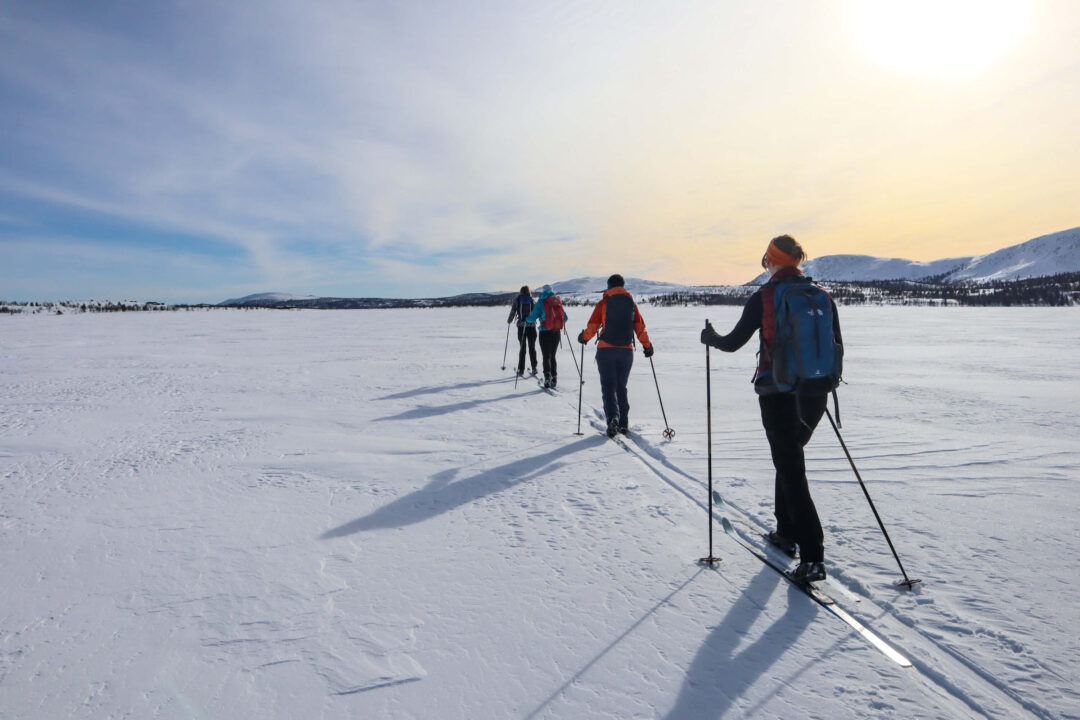 Cross-country skiers walking a snowy Norway trail at sunrise with skis and poles