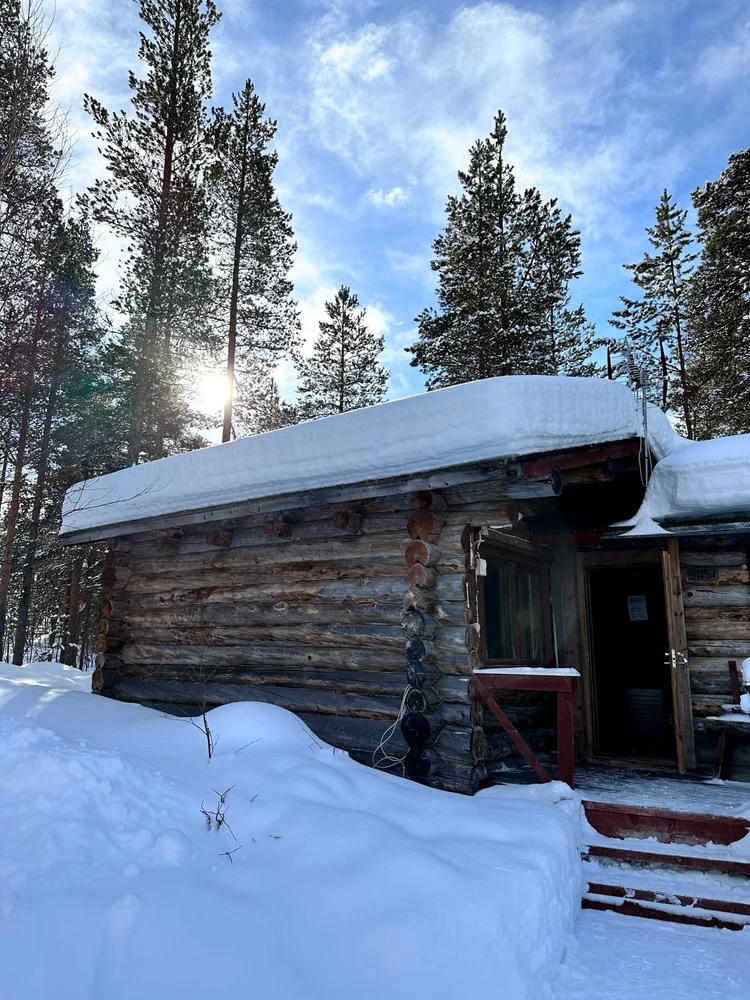 Snow-covered wooden backcountry ski hut in a Lapland forest under a winter sky