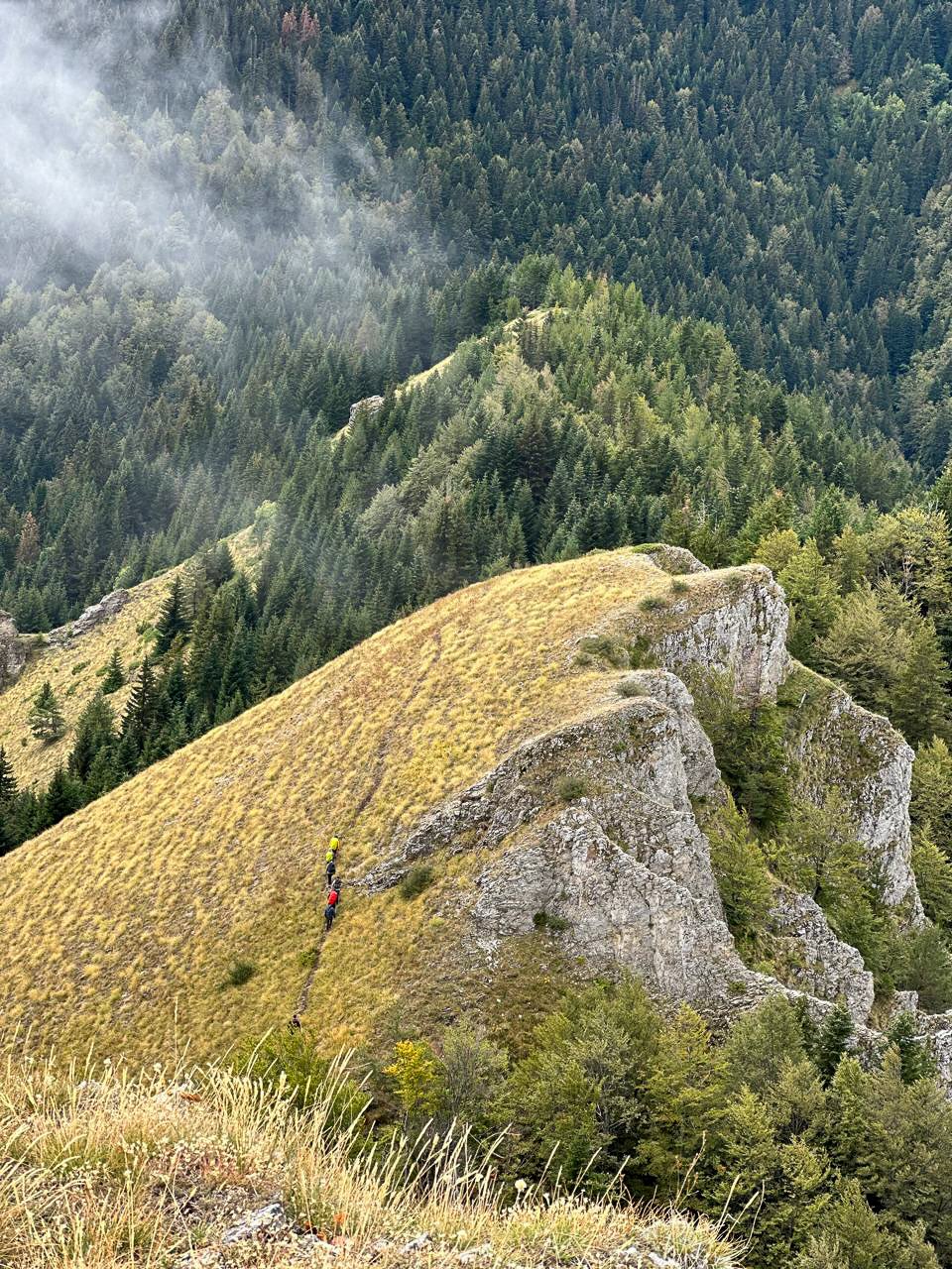 Hikers on a grassy, rocky ridge overlooking dense forested mountains during guided hiking holiday