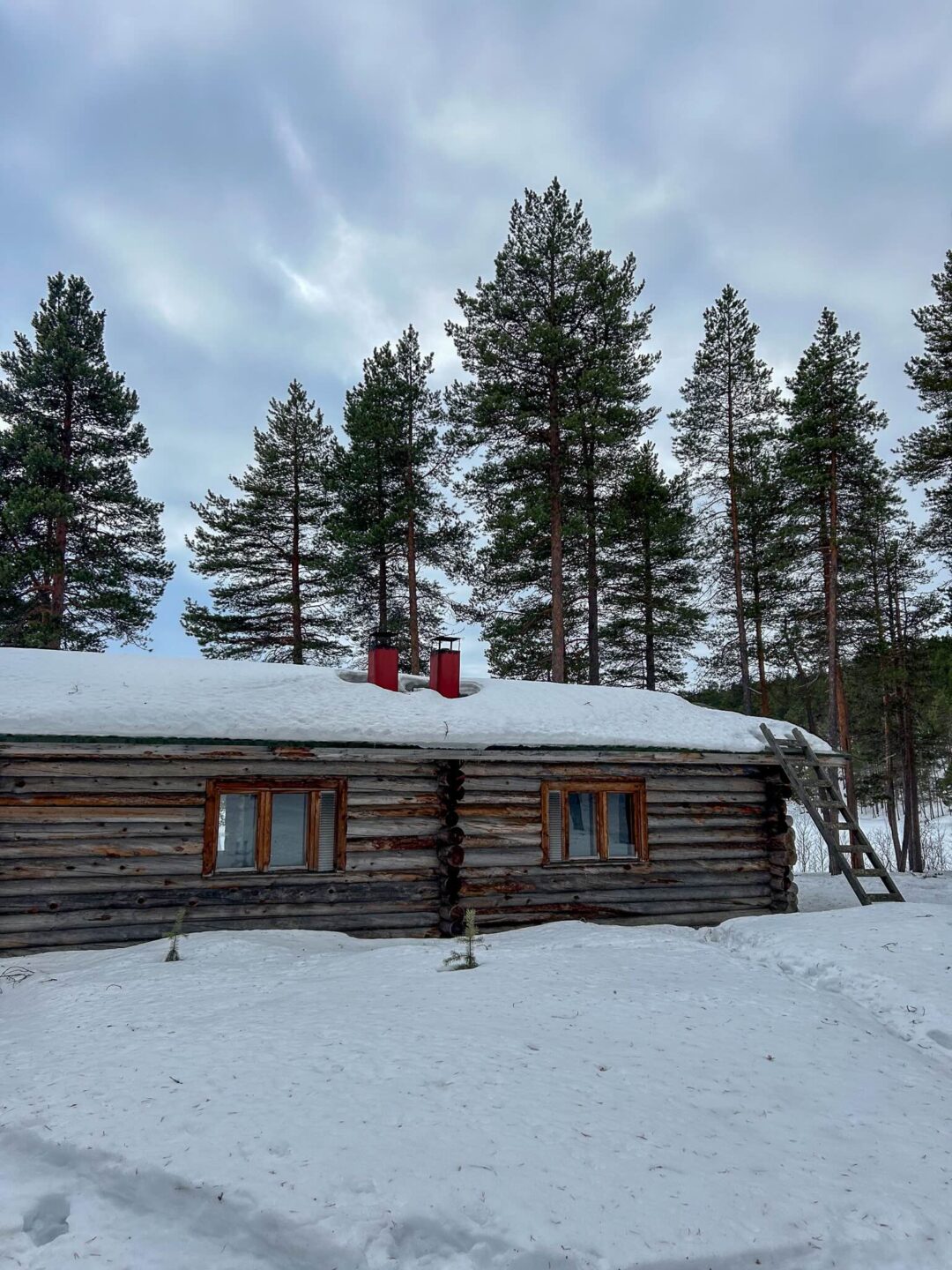 Snow-covered log hut in a pine forest, with skis nearby for an arctic ski expedition stop