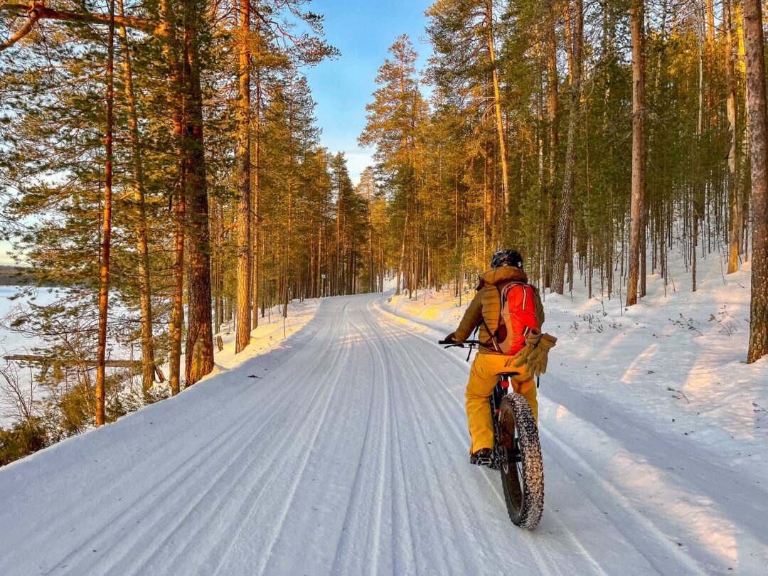 Adventurer riding a fat bike on a snowy forest trail in Finland, autumn colours and pine trees ahead