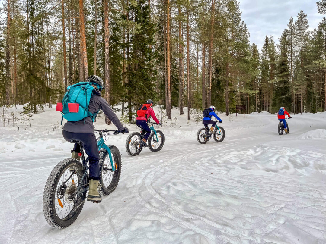 Fat bike riders cycle through snowy forest trails in Finland, with cyclists on mountain bikes and winter clothing