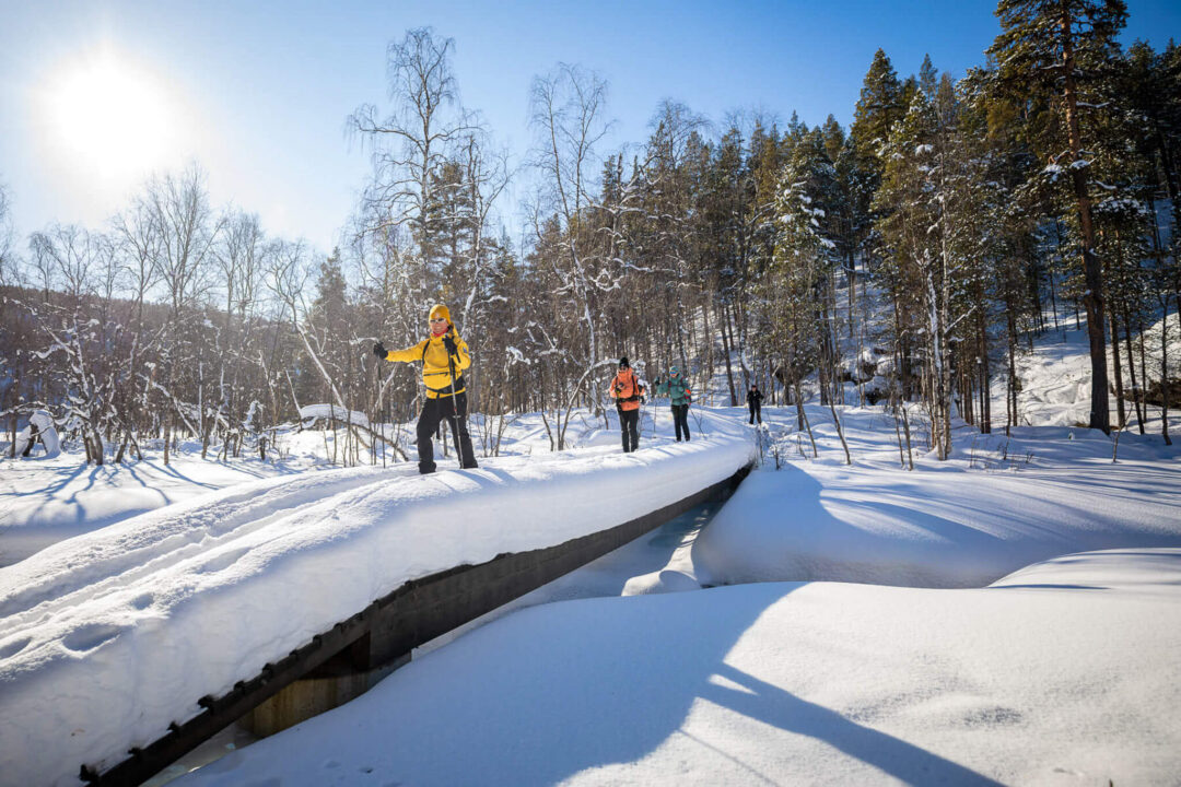 Backcountry skiers trekking along a snow trail through Lapland forest, crossing a bridge at sunrise