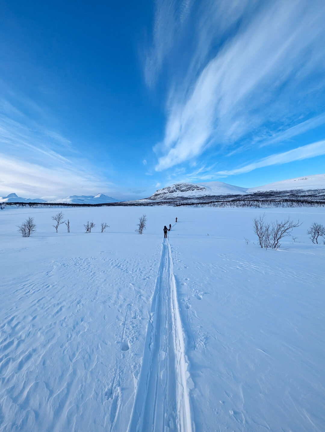 Ski tracks lead through snowy Arctic tundra with hikers under a blue sky and distant mountains.