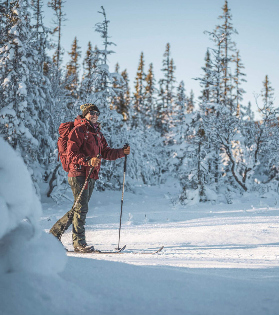 Downhill skier standing on a snowy piste in a pine forest, winter ski holiday scene
