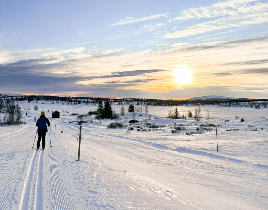 Cross-country skier on a snowy trail at sunrise across Norway’s winter landscape