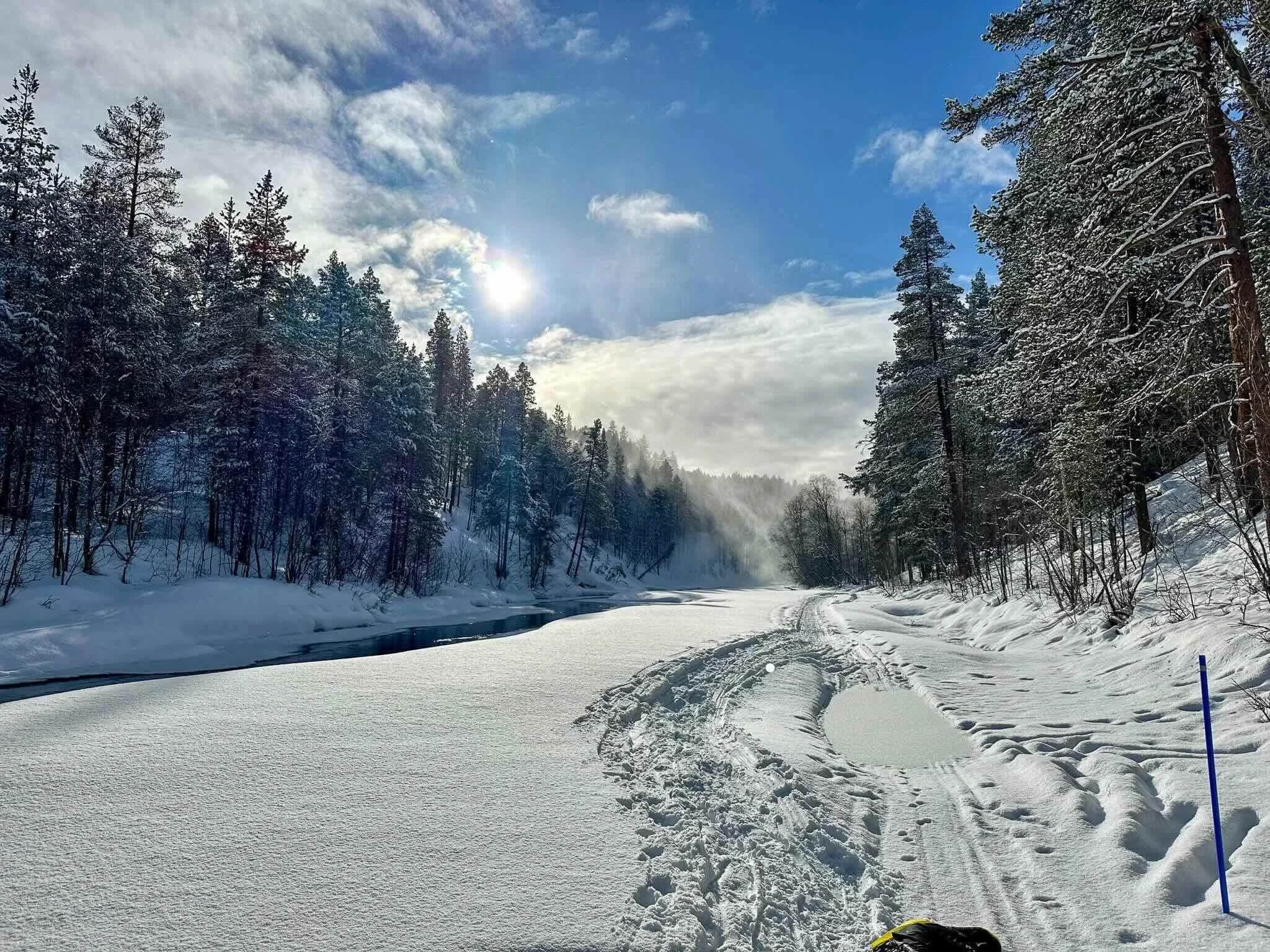 Backcountry ski track through Lapland pine forest on a snowy morning, mountains and sunshine in the distance