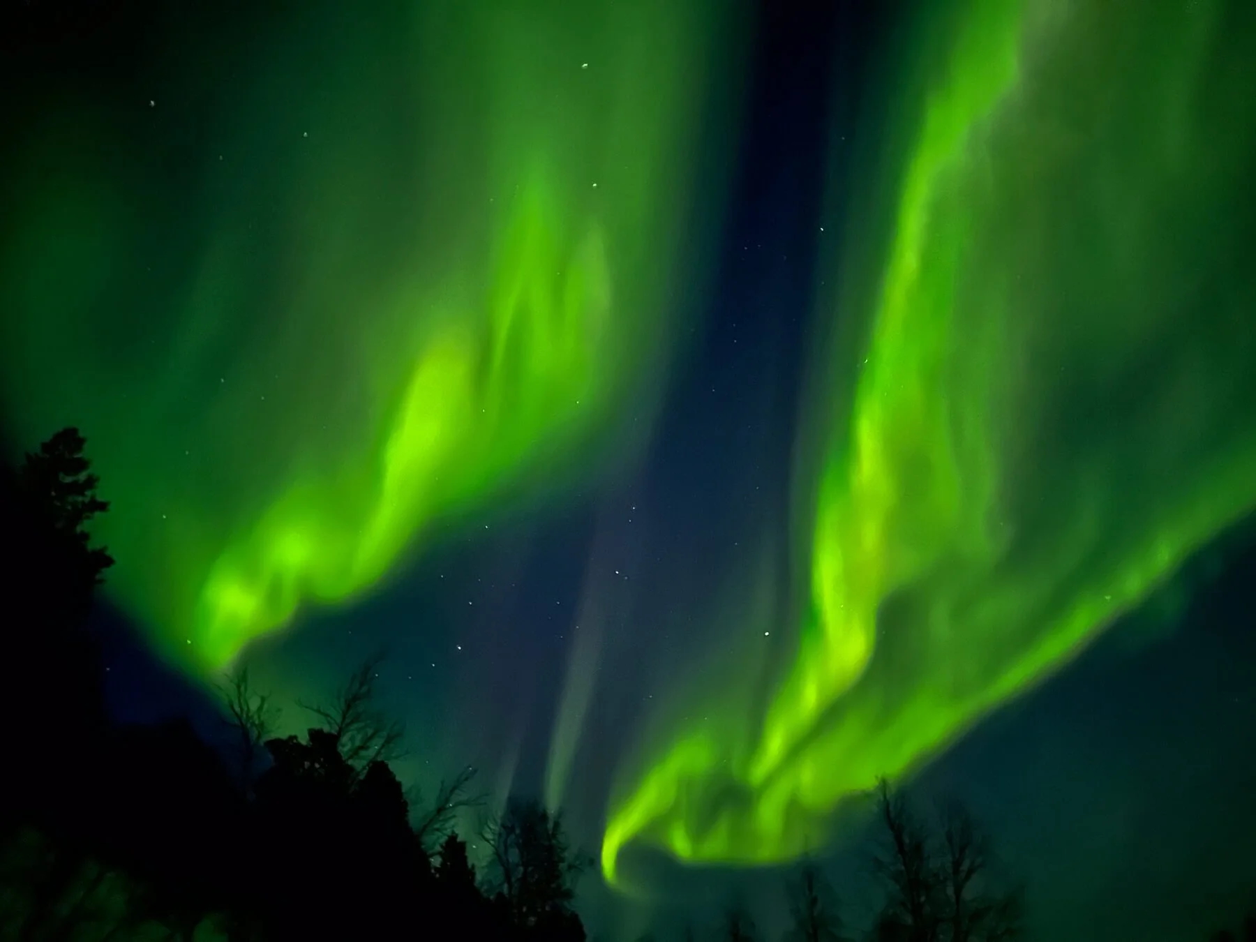 Vivid northern lights aurora borealis over snowy treeline in the Arctic night sky for a hut-to-hut ski expedition