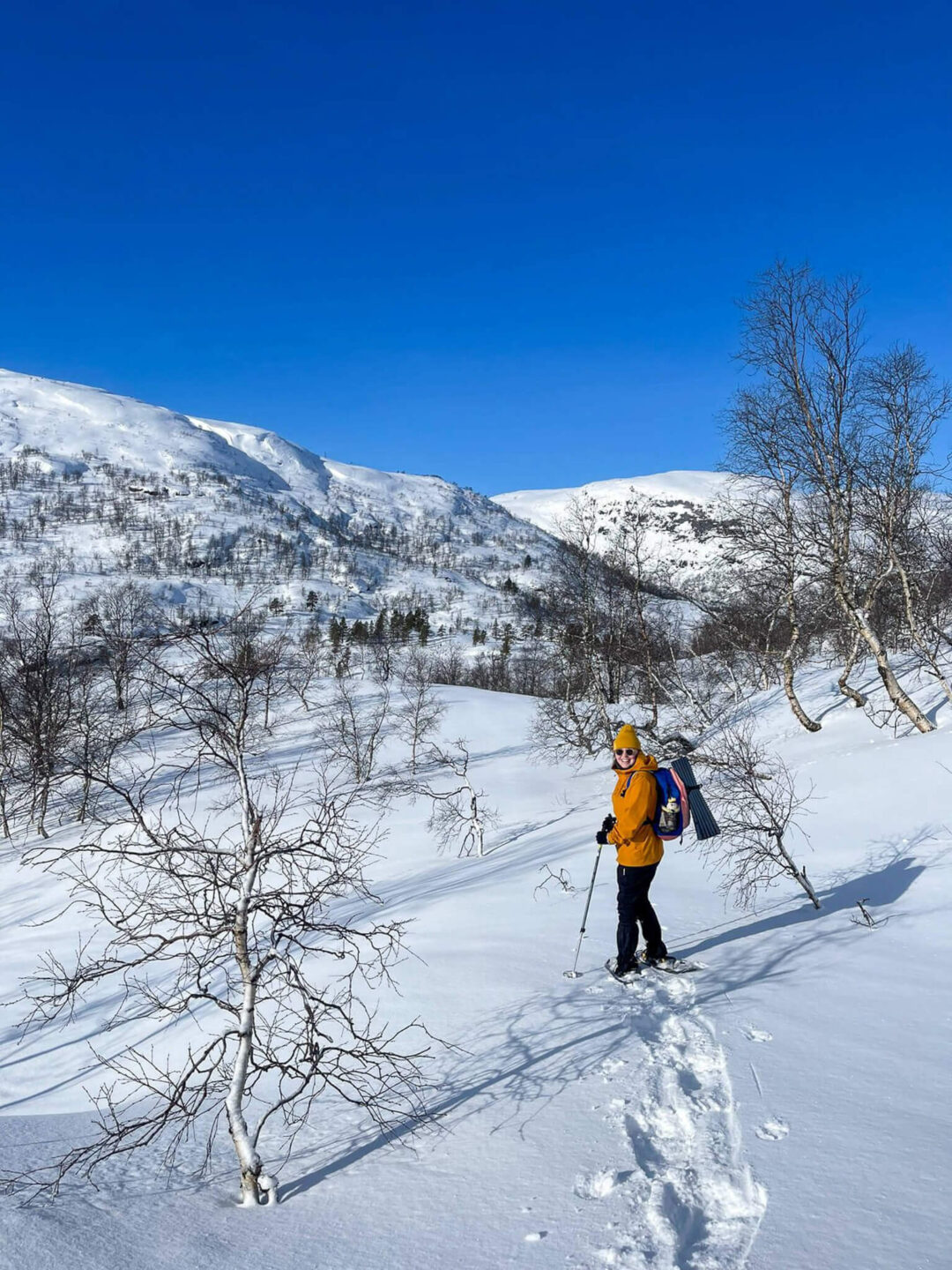 Hiker snowshoeing through snowy mountain valley with backpack and poles under a clear blue sky
