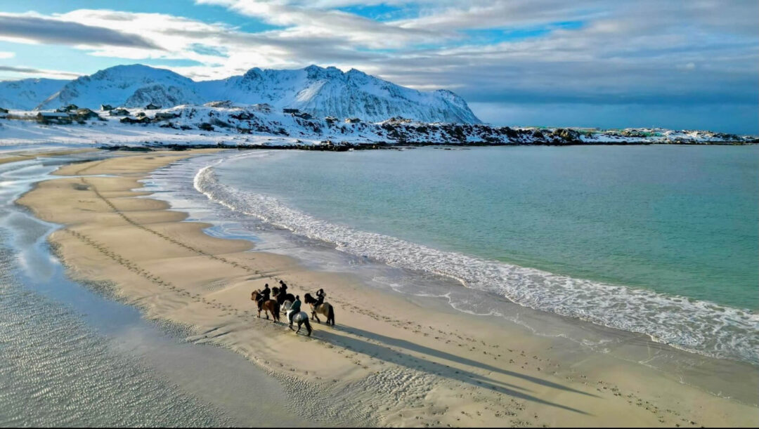 Dog sled team on a sandy beach in Lofoten, Norway, with mountains and sea behind