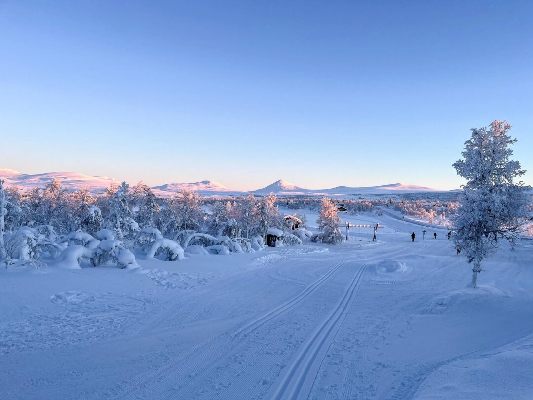 Cross-country ski tracks through snowy Norwegian countryside at dawn with distant mountains and clear blue sky