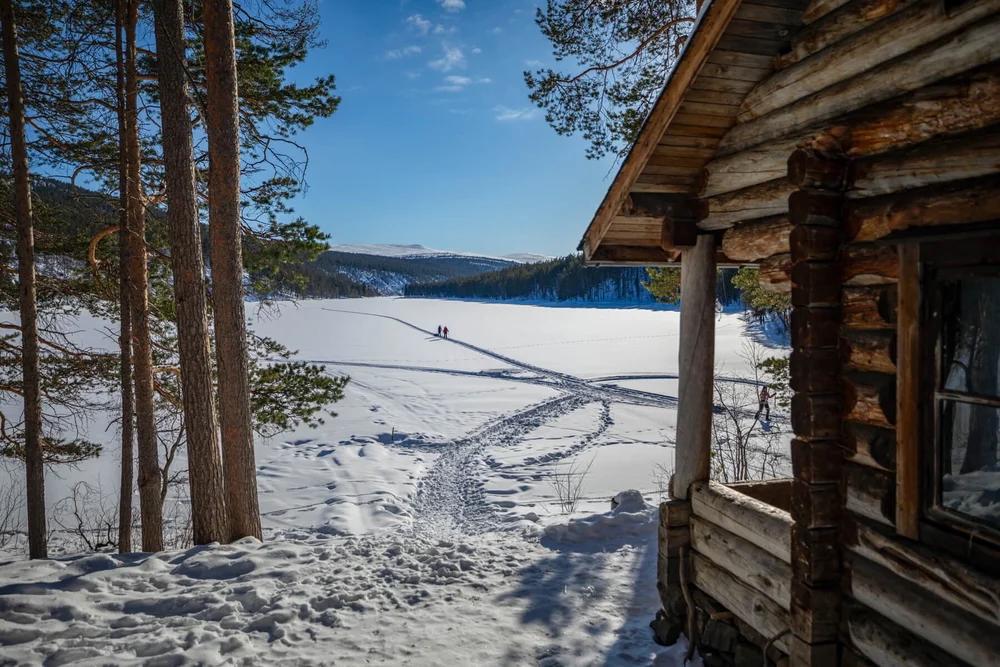 Backcountry ski tracks in Lapland snow leading past a wooden hut through pine forest and frozen lake views
