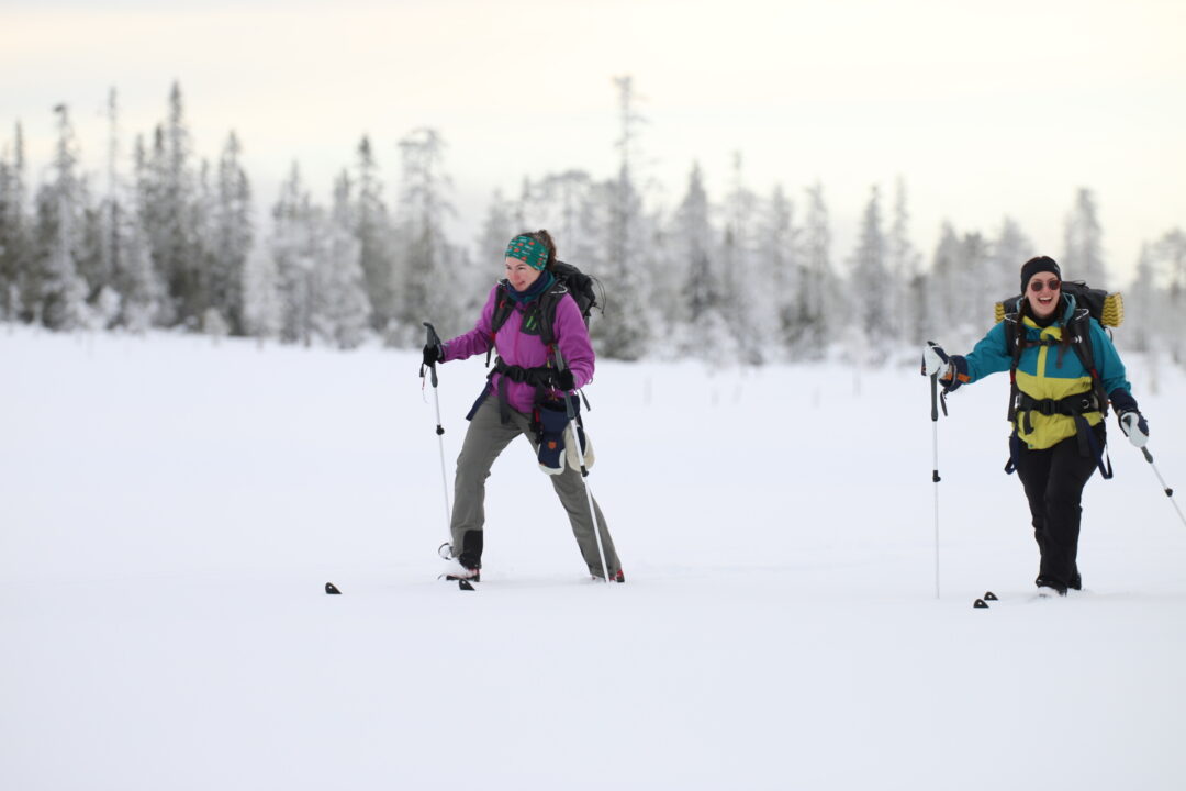 Women backcountry skiing through snowy forest in Sweden, winter camping expedition landscape