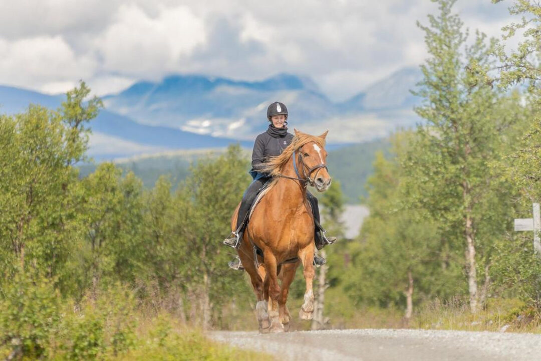 Woman riding a horse on a country road, with trees and mountains in the background