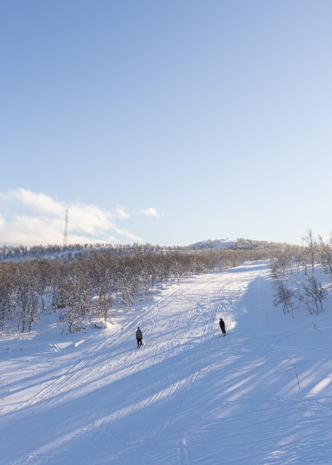 Skiers on snow-covered woodland slopes in a winter landscape, with tracks leading downhill