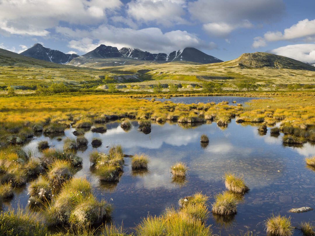 Norwegian mountain valley landscape with a still lake and grassy tundra, ideal for hiking in national parks