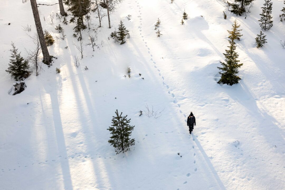 Woman trekking on backcountry ski trail through snowy pine forest with footprints in winter landscape