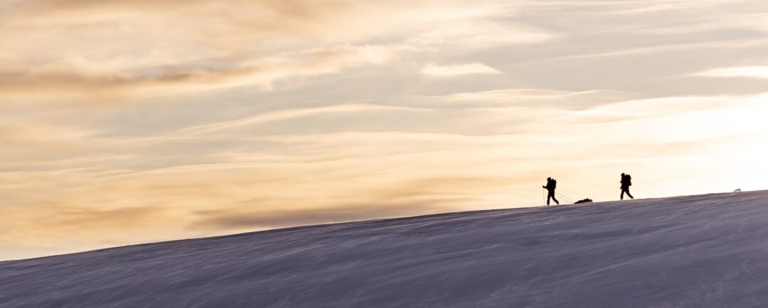 Backcountry skiers walking across a snowy hillside at dusk