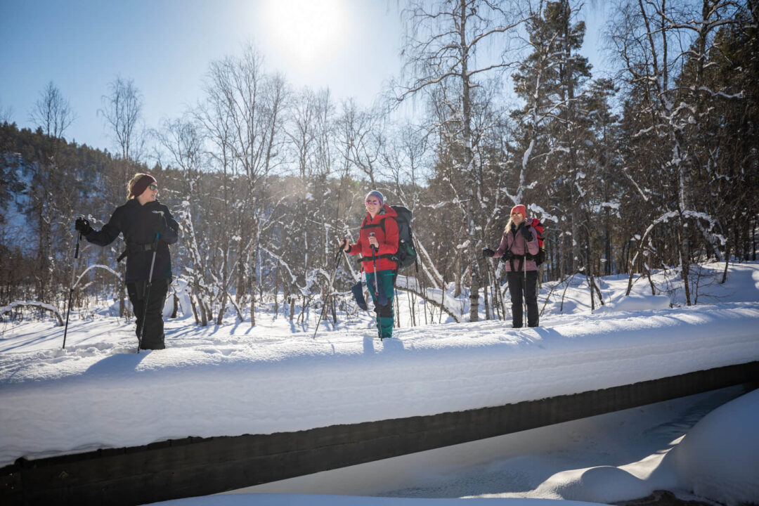 Women cross-country skiing through a snowy forest in winter countryside