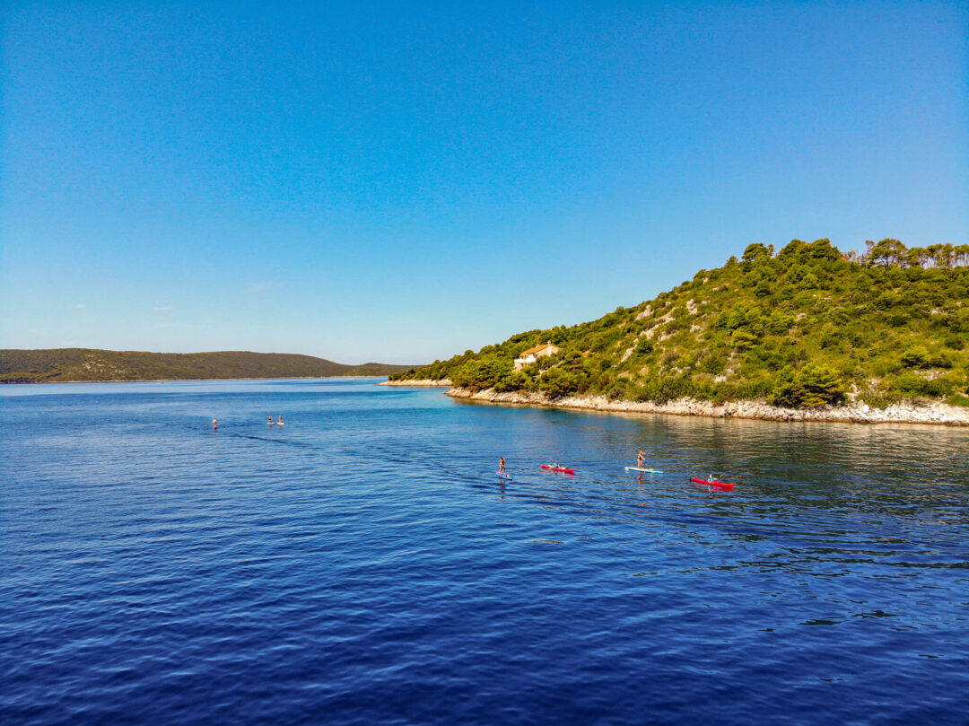 SUP paddlers on calm sea near a green, rocky coastline under a clear blue sky