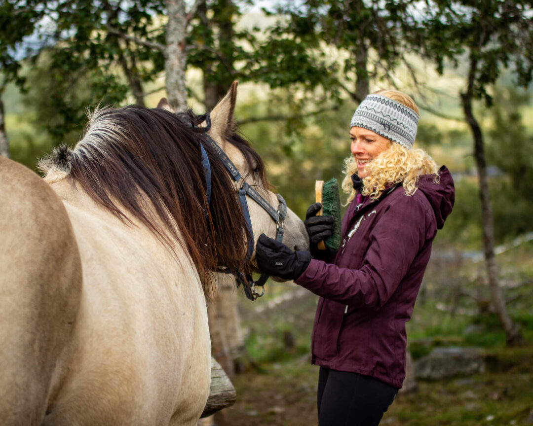 Woman grooming a horse outdoors in a forest, beginner-friendly horse riding experience