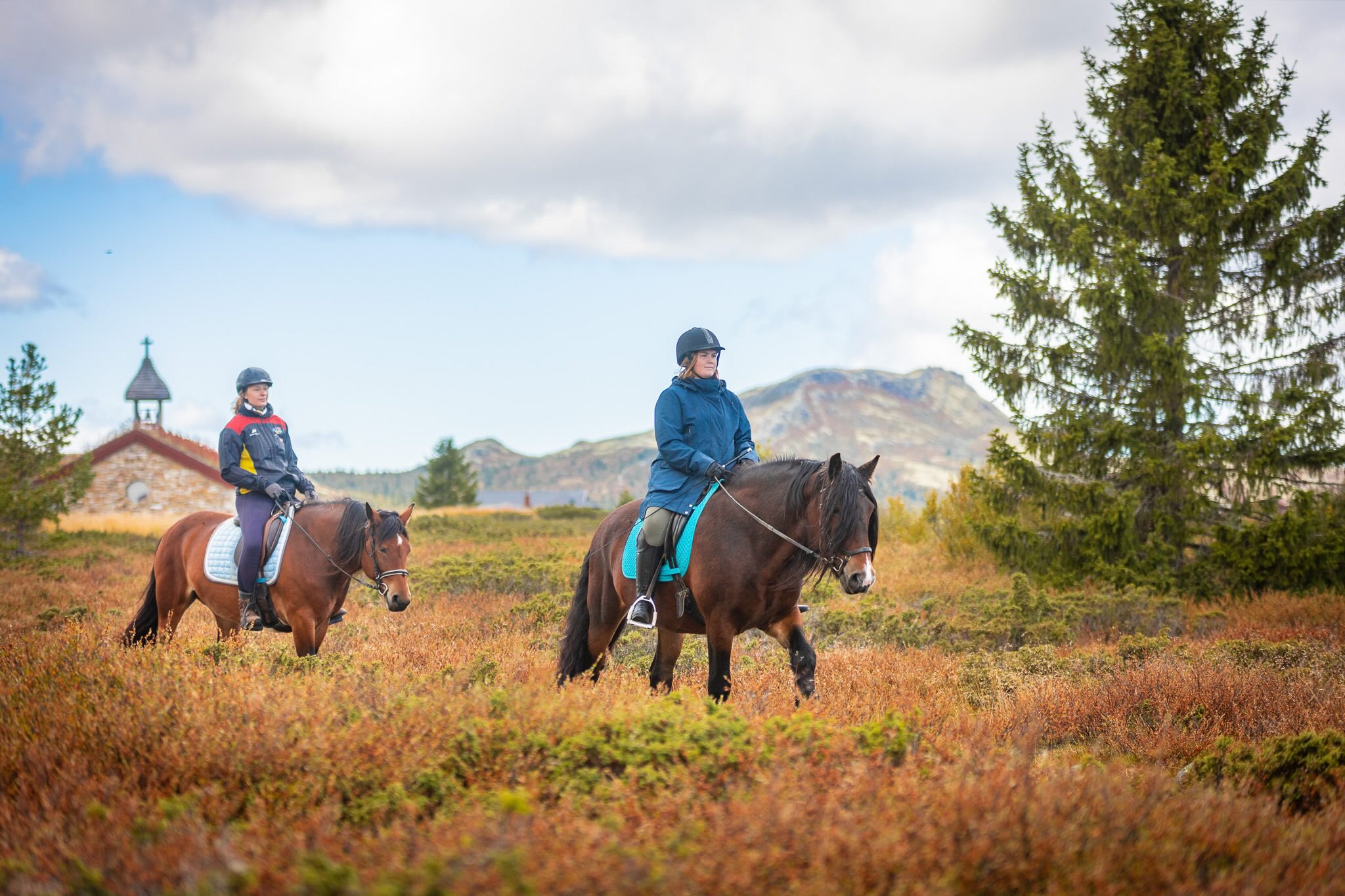 Women horse riding across a grassy countryside with pine trees and mountains in the background