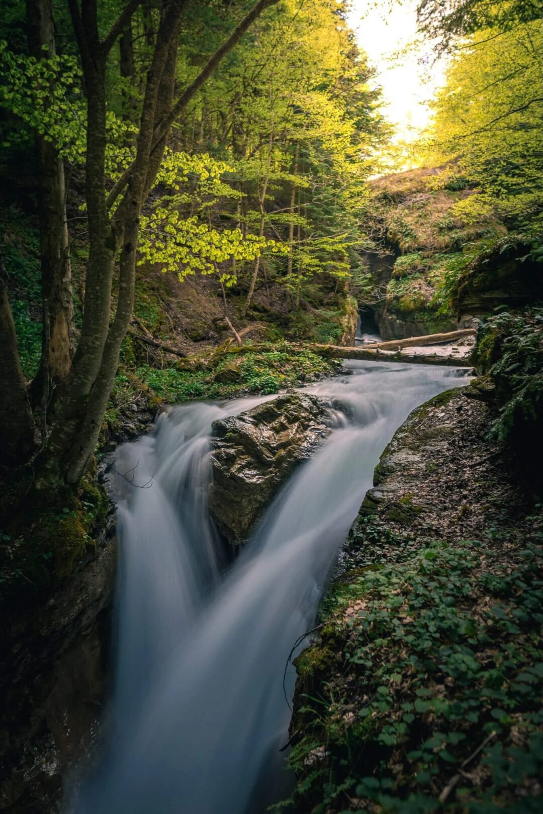 Waterfall cascading through a lush green woodland with autumn-coloured trees and rocky streambed
