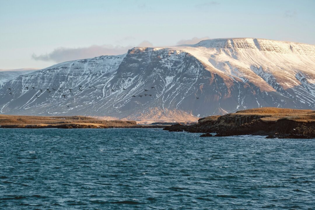 fjord and mountains covered in snow with birds flying