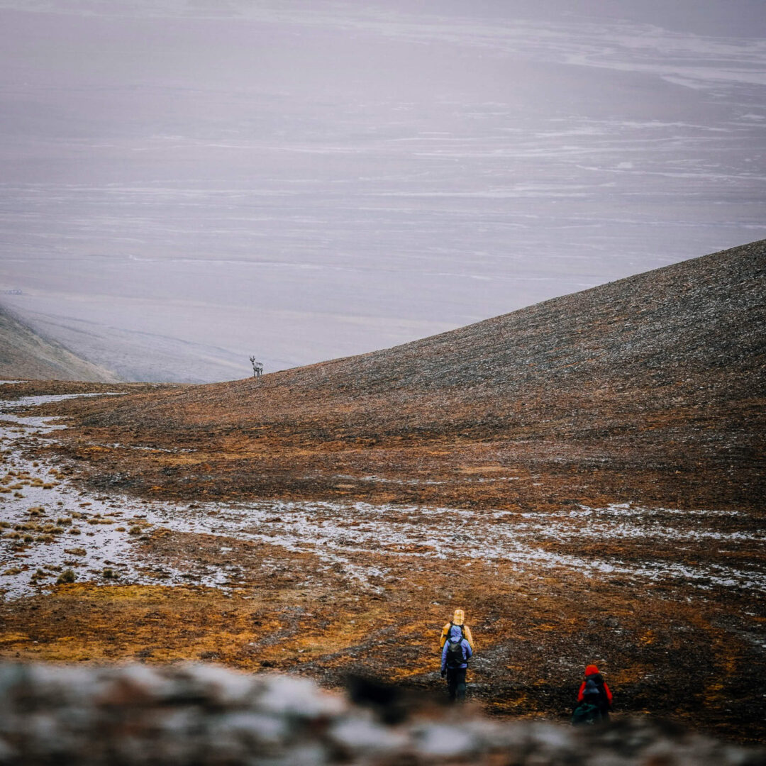 Women hiking across a snowy rocky slope in the Arctic wilderness at dusk, with misty mountains in the background