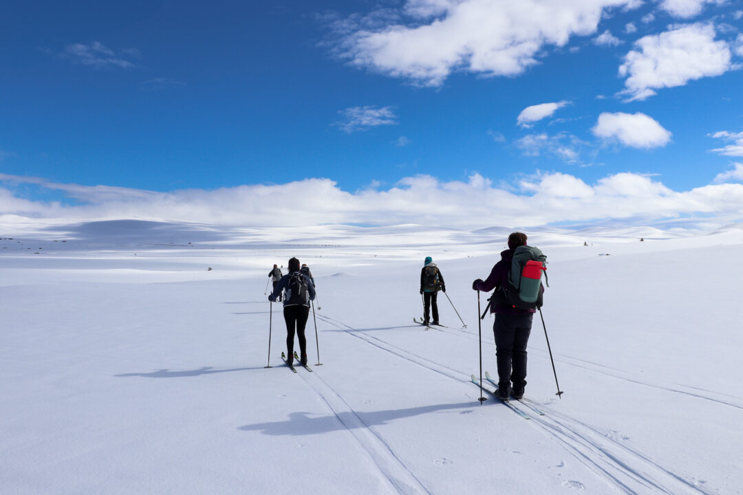 Women cross-country skiing on a snowy trail across open white landscape under a blue sky
