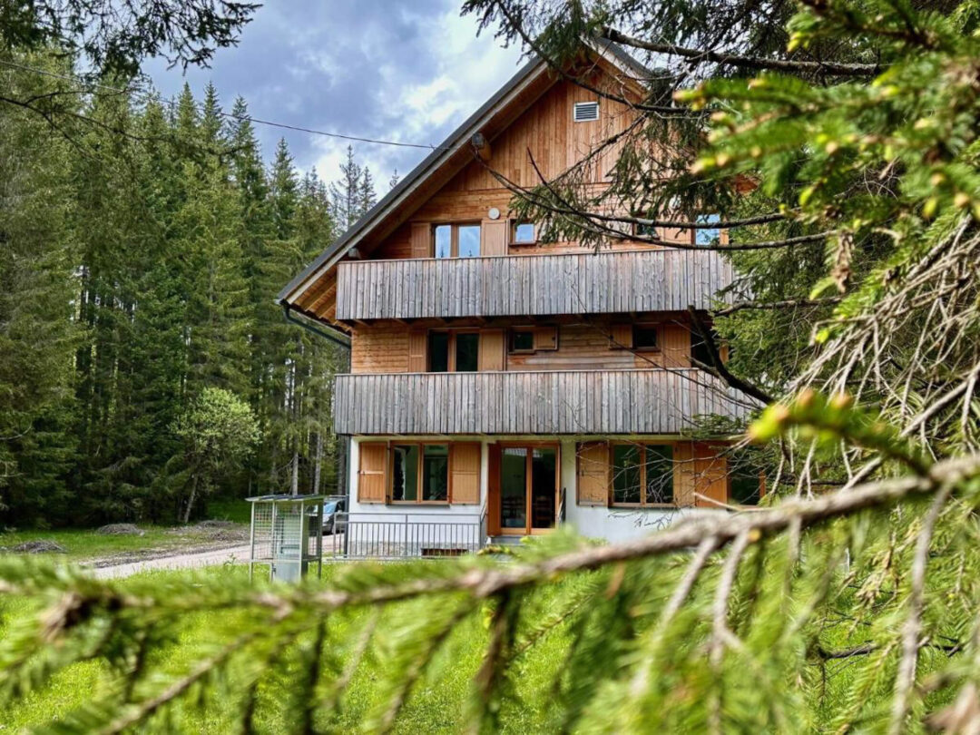 Wooden mountain hiking hut in a forest clearing, surrounded by evergreen trees and lush greenery