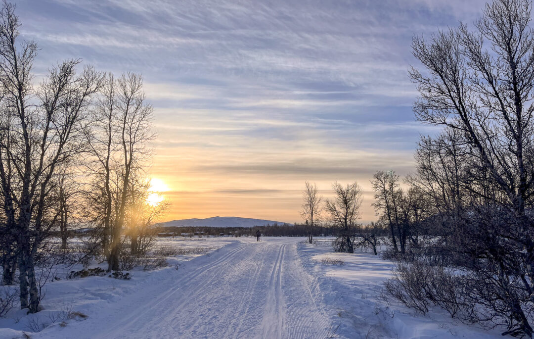 Snow-covered cross-country ski trail through wintry trees at sunrise
