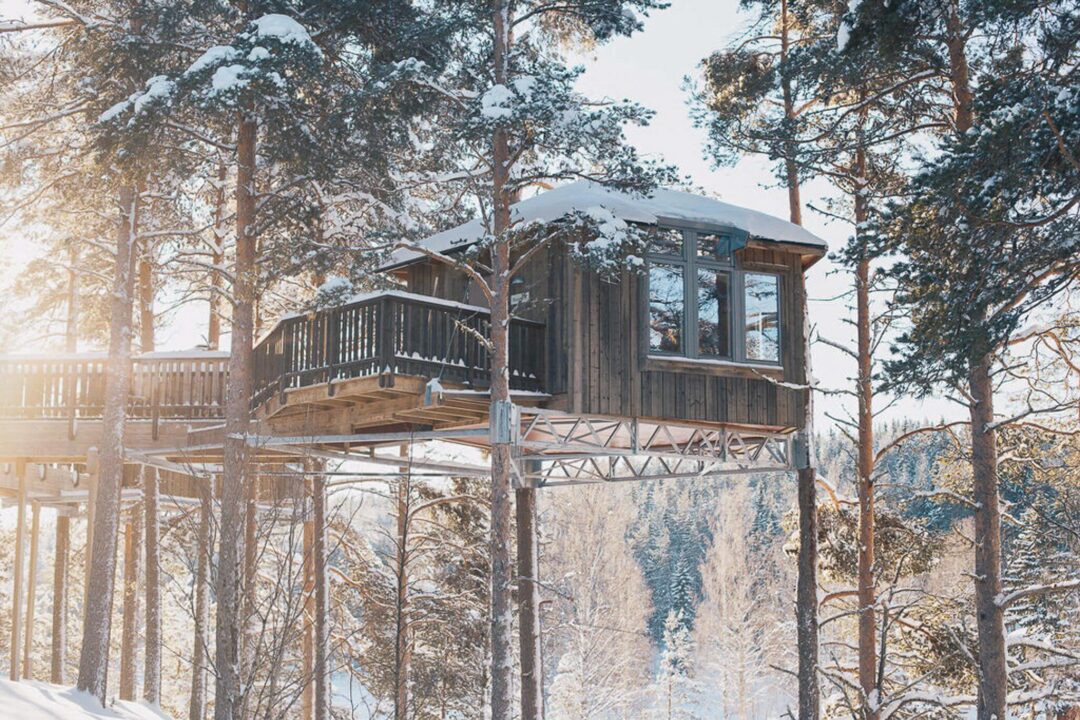 Wooden treehouse cabin on stilts in a snowy pine forest