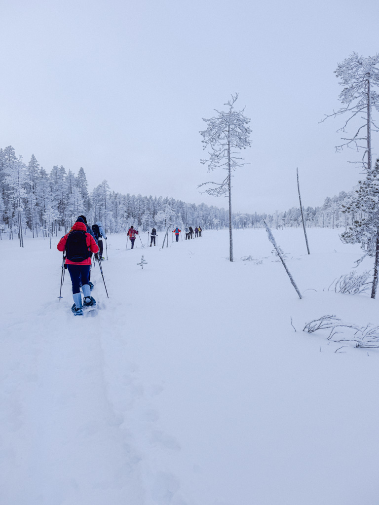 Women snowshoeing through a snowy forest in Finland, with a line of hikers on the trail