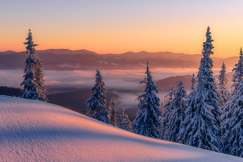 AdobeStock_305502559