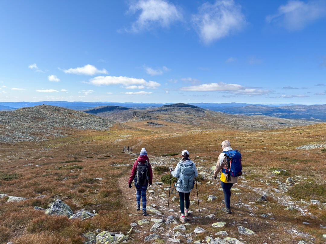Women hiking on a rocky trail across the mountains in Norway under a blue sky