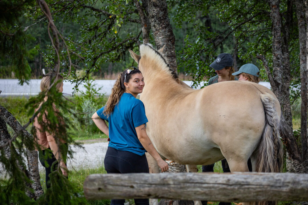 Women with a horse in a forest clearing near a wooden fence, preparing for horse riding