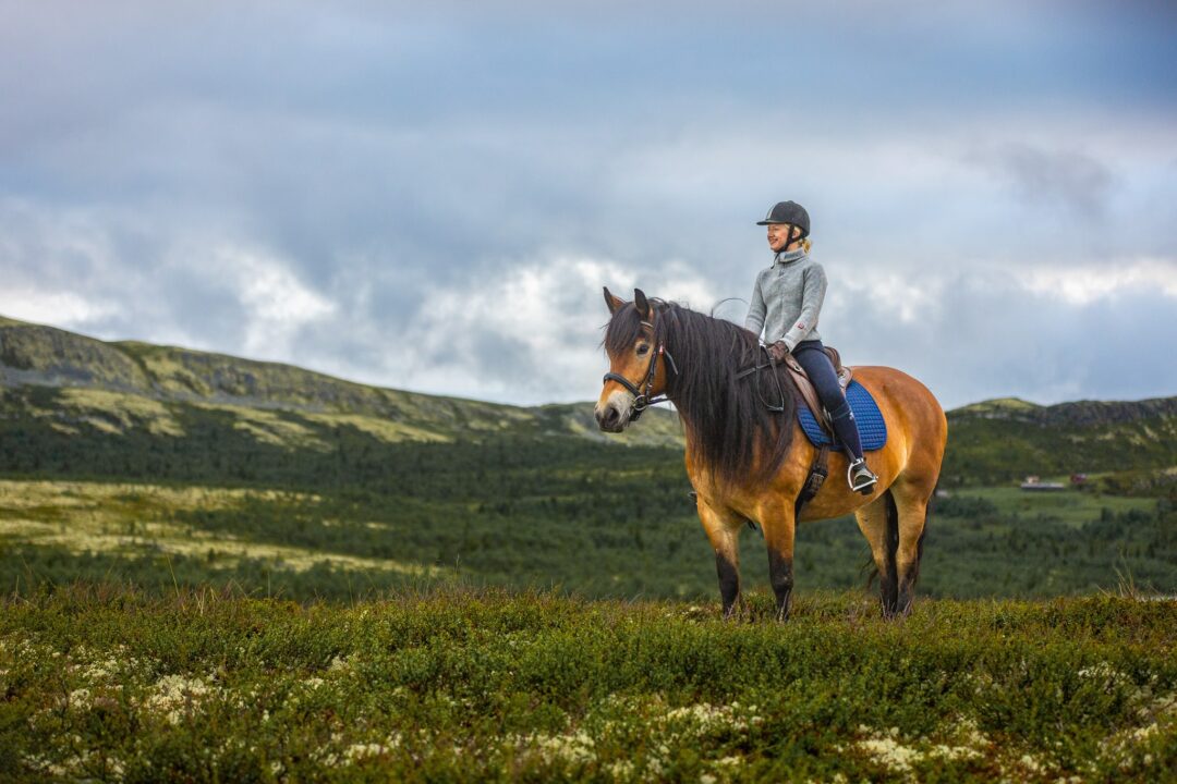 Woman experienced horse rider on horseback trotting through green hills under dramatic cloudy skies
